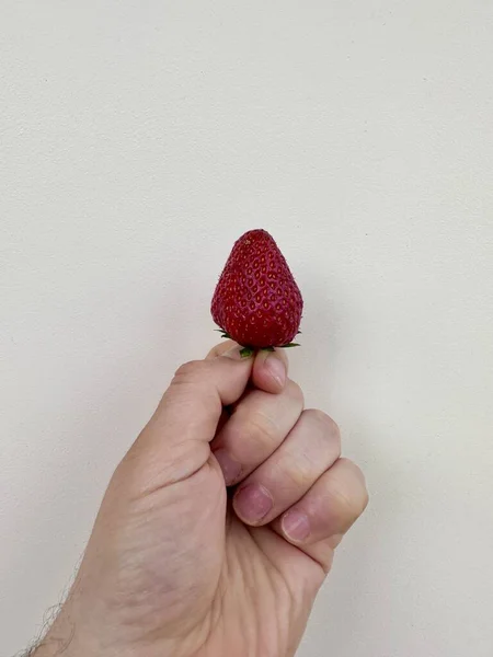 一个男人手里拿着一个红色的成熟草莓 背景是白色的 — 图库照片