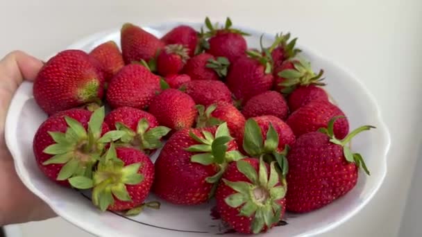 在白色背景的碗里放新鲜草莓 — 图库视频影像