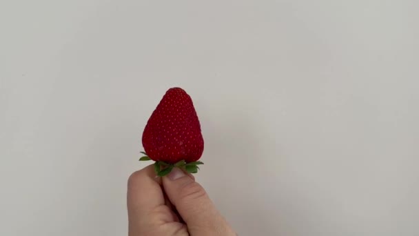 Ένας Άντρας Κρατάει Και Στρίβει Μια Κόκκινη Μεγάλη Ώριμη Φράουλα — Αρχείο Βίντεο