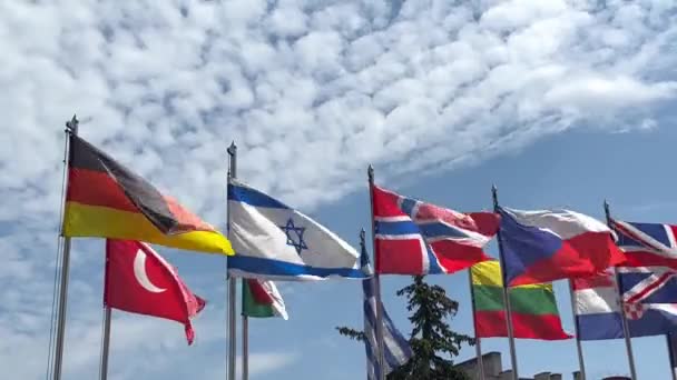 Vlaggen Van Naties Van Wereld Internationale Veelkleurige Vlaggen Fladderen Buiten — Stockvideo