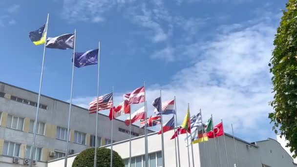 政府の建物や青空を背景に さまざまな国の多くの旗 — ストック動画