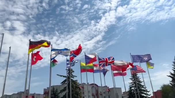 不同国家的国旗 欧盟的国旗 以色列 加拿大 挪威的国旗都在迎风飘扬 世界上不同国家的国旗相邻而居 — 图库视频影像