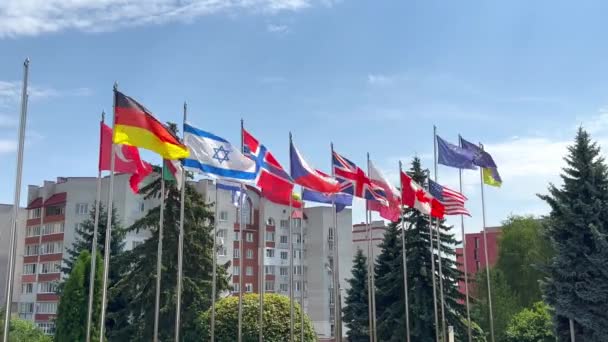 Bandeiras Diferentes Países Mundo Agitam Vento Postes Bandeira Contra Fundo — Vídeo de Stock