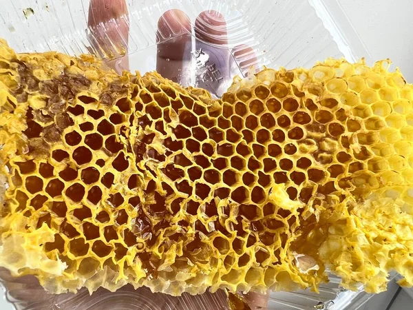 Frisches Stück Wabe Mit Flüssigem Honig Plastikbehälter Der Hand Bienenwaben — Stockfoto