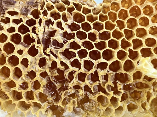 Nahaufnahme Der Wabe Mit Frischem Flüssigem Honig Waben Aus Einem — Stockfoto