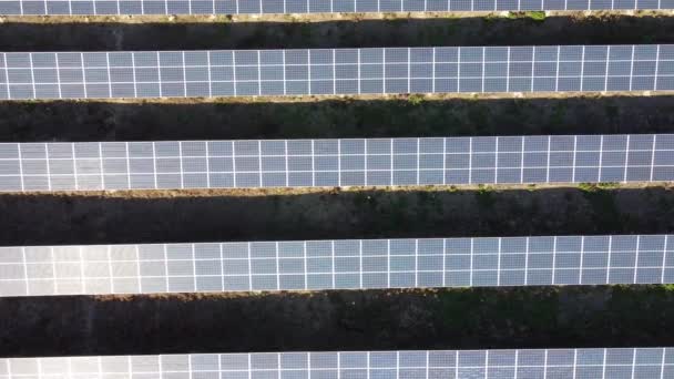 太陽光発電所で太陽光パネルを飛行するドローンによって撮影された太陽光発電所 ソーラーファーム 太陽エネルギーの生産 太陽光発電による太陽電池の流れ 気候変動対策 技術開発について — ストック動画