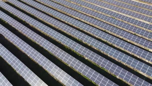太陽光発電所 再生可能エネルギー ソーラーパネルに関するトップビュー 電気産業 電力生産について 自然の純粋なグリーンエネルギー — ストック動画