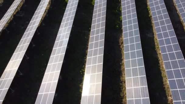 Ekologi Solkraftverk Paneler Fält Grön Energi Vid Solnedgången Landskap Elektrisk — Stockvideo