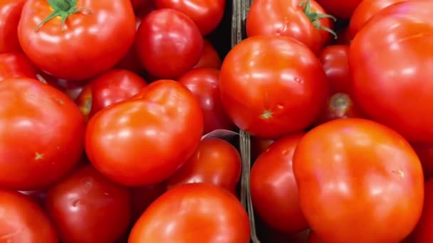 Büyük Sulu Domates Hasadı Sebze Süpermarketlerinde Satılmak Üzere Siyah Karton — Stok video