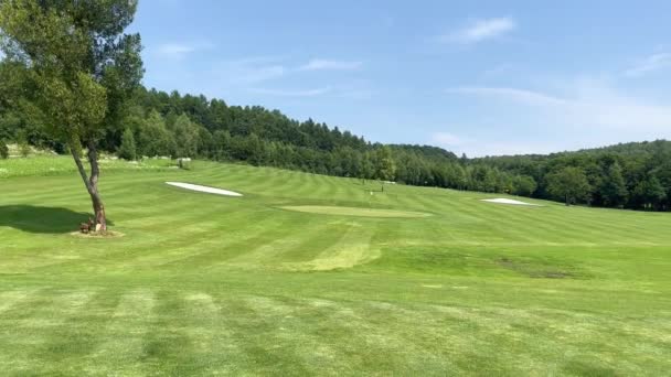 砂場のあるグリーンゴルフコース 晴れた日の緑の木々の間の丘の上の大きなゴルフコース — ストック動画