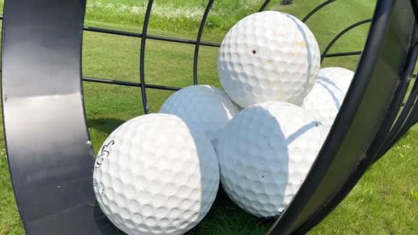 Bolas Golfe Uma Cesta Gramado Verde Dia Ensolarado Close Bolas — Vídeo de Stock