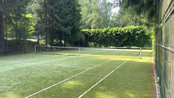 Теннисный Корт Парке Окружении Пышной Зелени Солнечное Утро Теннисный Корт — стоковое видео