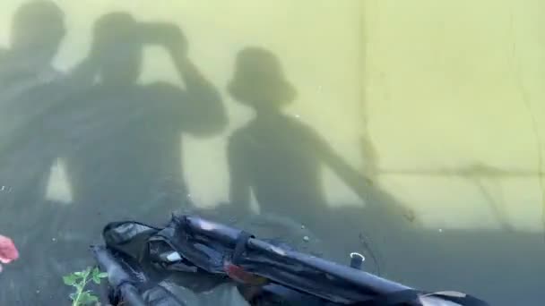 Рибалки Відпускають Коропа Або Рибу Яку Він Щойно Впіймав Озеро — стокове відео