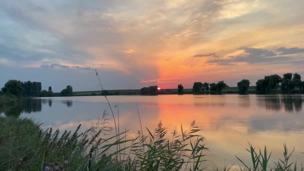 湖の穏やかな水の反射に対して地平線の後ろにほとんど隠れている赤いオレンジの日没のリードとビュー 湖の夕日 湖の背景にある雲の中の太陽の魔法の設定 — ストック動画