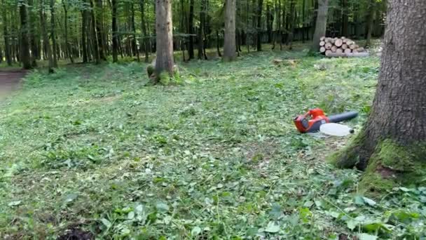 一把链锯躺在森林中的绿色草坪上 背景是高大的树木和锯成的树干 链锯在森林里砍树造屋生柴 森林砍伐的概念 — 图库视频影像