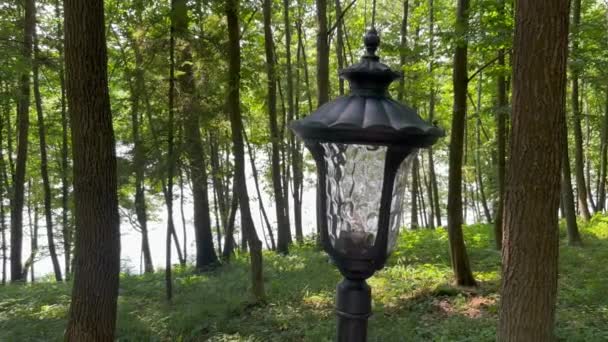 Yeşil Ağaçların Arasındaki Bir Parkta Park Lambasına Yakın Çekim Siyah — Stok video
