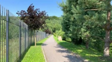 Güneşli bir yaz gününde yeşil çimenlerin, kozalaklı ağaçların ve diğer yeşil ağaçların arasında bir patika boyunca yürümek. Bir eğlence parkındaki güzel yeşil bitkiler arasında pitoresk bir yol..