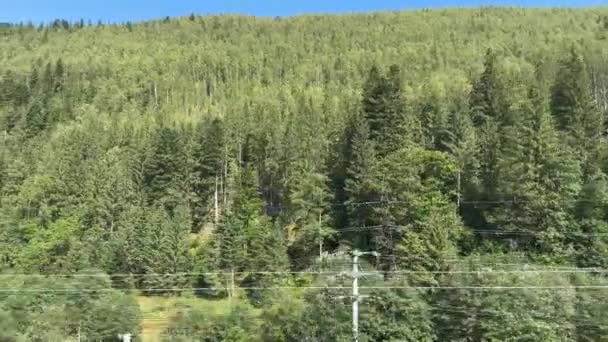 在阳光灿烂的日子里 透过火车开着的车窗 可以看到绵延到蓝天的高山针叶林的风景秀丽的风景 乘火车穿过美丽的高山 — 图库视频影像
