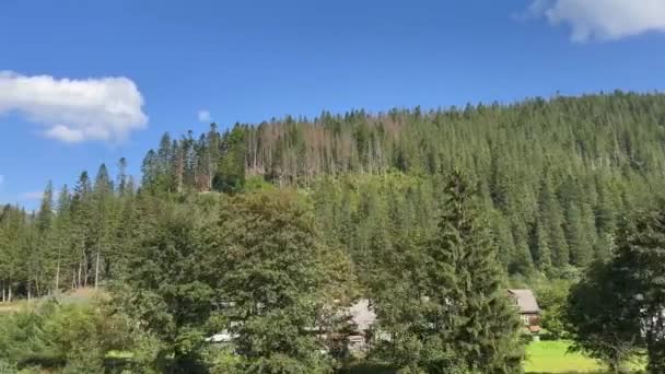 在一个阳光明媚的日子里 火车窗口可以看到一座高山旅游胜地 它的背景是美丽的高山 天空是蔚蓝的 有着翠绿的松树和木制美丽的房屋 — 图库视频影像