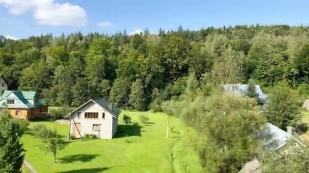 Widok Pięknych Domów Środku Leśnej Zielonej Łąki Słoneczny Dzień Domy — Wideo stockowe