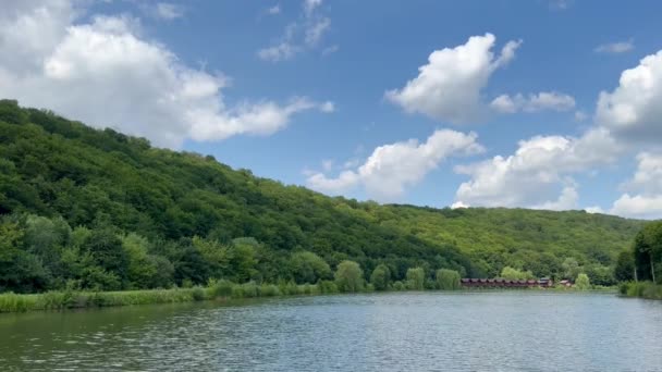 Vue Panoramique Rivière Forêt Verte Sur Colline Été Sur Fond — Video
