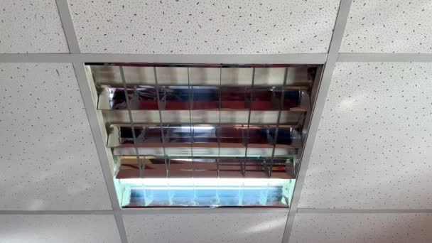 Una Lampada Difettosa Tremola Sul Soffitto Dell Ufficio Luce Fluorescente — Video Stock