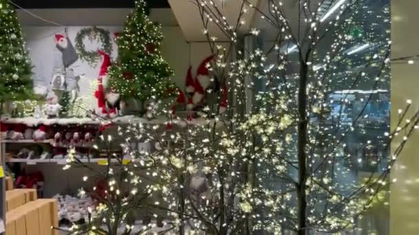 在圣诞装饰品的背景下 一棵带有令人愉快的温暖灯光的石榴树 在喜庆的冬季还有一棵圣诞树 商店里的圣诞装饰品节日气氛 积极的情绪 诺埃尔 — 图库视频影像