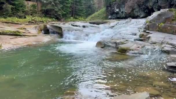 Καταρράκτης Στο Δάσος Ένα Ορεινό Ποτάμι Καθαρά Νερά Που Περνά — Αρχείο Βίντεο