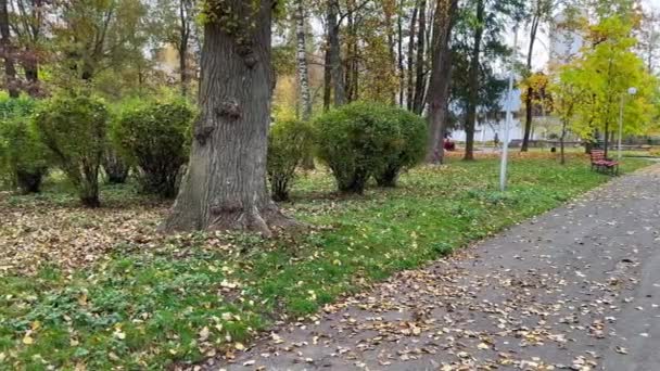 Herfst Stadspark Met Een Rode Bank Bomen Met Omgevallen Bladeren — Stockvideo