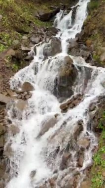 Ormandaki şelale. Dağ deresi. Doğadaki şelale. Şelalenin manzarası, hızlı akan suyun hızla kayalardan aşağı aktığı yer. Trufanets şelalesi, Ukrayna Karpatları 'nda bir şelale.