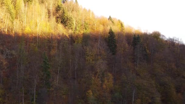 Colorful Autumn Forest Sunrise Aerial View Autumn Mountain Landscape Sun — Stock Video