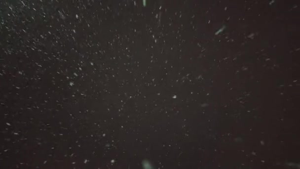 夜空中的降雪 在漆黑的夜空中 雪下得很快 现实的夜晚降雪 — 图库视频影像