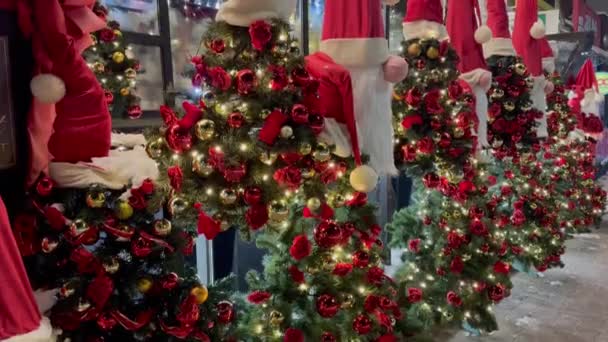 圣诞装饰品 圣诞树和带有圣诞老人条款的花环在一家礼品店的立面附近的雪地街道上 — 图库视频影像