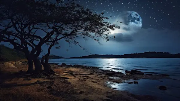 A full moon over the sea and a big tree at night on the beach.