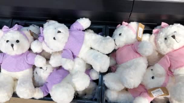白とピンクの柔らかいテディベアはおもちゃ店の箱の中で互いに上に横たわっています カラフルなシャツと弓でかわいいおもちゃギフトクマ — ストック動画