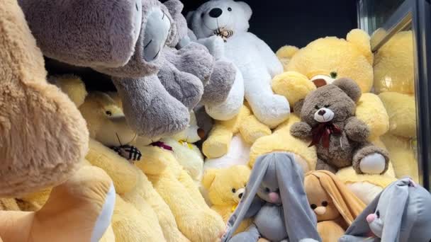 Veel Teddyberen Van Grote Kleine Afmetingen Liggen Een Stapel Etalage — Stockvideo