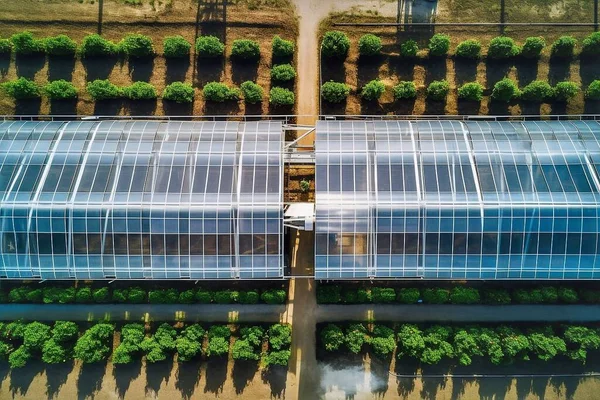 Aerial view of solar panels in a greenhouse with green plants.