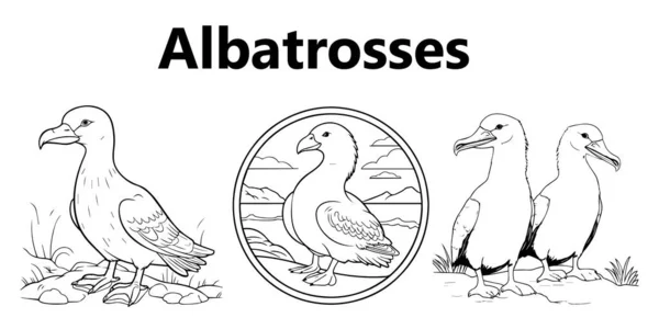 Beyaz arkaplanın vektör illüstrasyonu