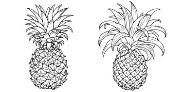 vektör set ananas