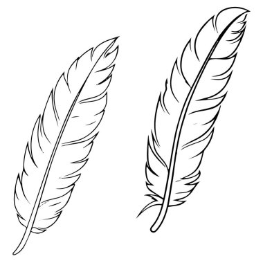 siyah tüy seti vektör çizimi izole edildi. Tüy simgesi.