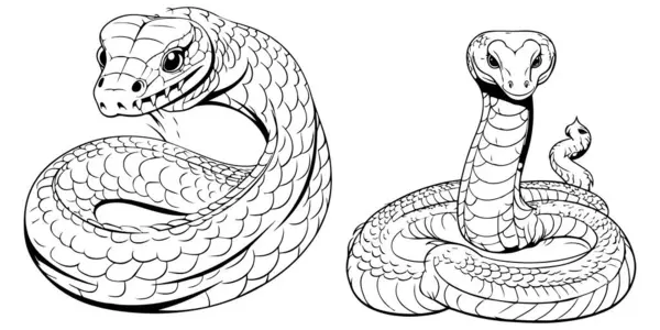 bir yılanın siyah ve beyaz vektör çizimi
