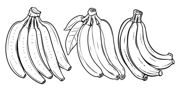 Conjunto Vetorial Bananas — Vetor de Stock