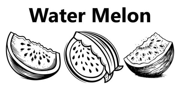 Karpuz. Elle çizilmiş karpuz resmi siyah arkaplanda.
