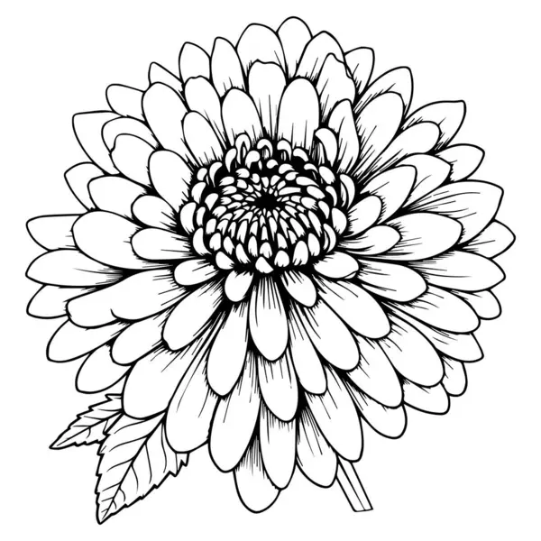 kartpostal için güzel çiçek süsleme vektör çizim