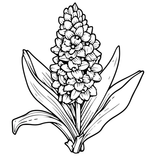 Σχέδιο Διανυσματικού Χεριού Λουλούδια Μπουμπούκια Φύλλα Απομονωμένο Λευκό Φόντο — Διανυσματικό Αρχείο