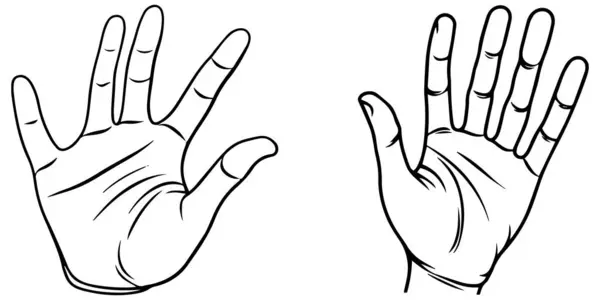 Руки Различных Жестов — стоковый вектор