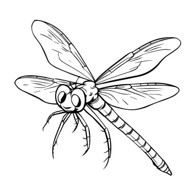 El çizimi yusufçuk beyazı.