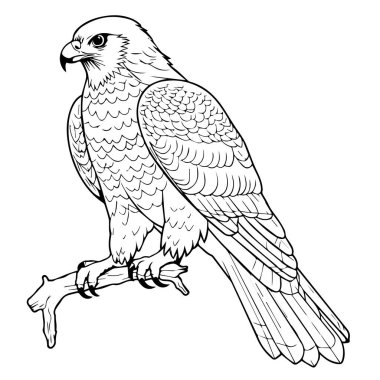 vektör çizimi. Kartal elimizde..