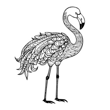 el çizimi flamingo illüstrasyonu