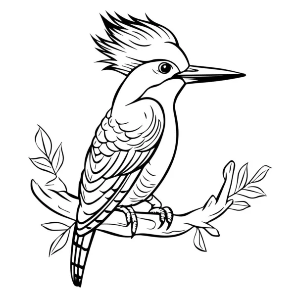 Elle Çizilmiş Kuş Çizimi — Stok Vektör